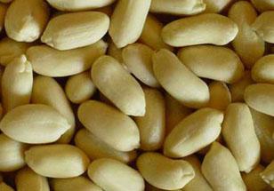 Peanut Kernels