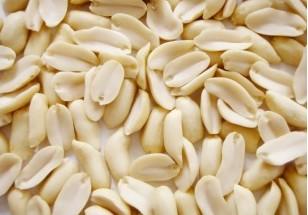 Halved Peanut Kernels