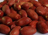 Roast Peanut Kernels 