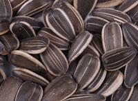 Roast Sunflower Seeds